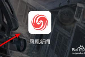 凤凰新闻app怎么查看消费记录？.