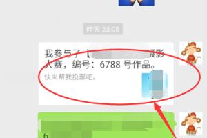 如何进行微信投票？.