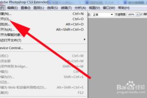 如何在Photoshop cs3 中给你的照片加上文字.