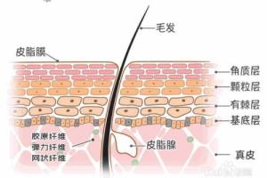 怎么把自己皮肤养得好好的？.