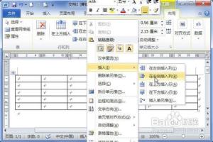 Word2010中的表格怎样插入整行整列和单元格.