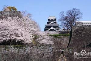 日本旅游常识之樱花花期.