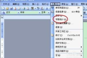 word2007和word2003中如何查看统计字数？.