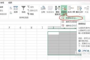 如何限制excel单元格内输入的数据类型与数值.