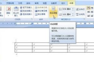 word2007设置自动调整功能.