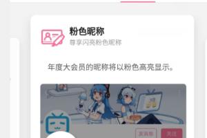 哔哩哔哩B站怎么设置粉色名字.