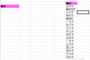 EXCEL2010如何制作下拉菜单.