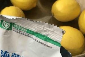 川贝陈皮柠檬膏--饮品教程.