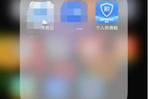 2019个税app怎么申报.