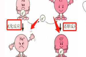 还原反应和氧化反应有什么区别.