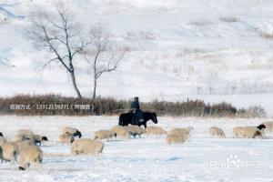 2019春节旅行去哪里—呼伦贝尔、阿尔山、满洲里.