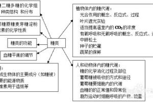 如何巧妙复习高三生物糖知识.