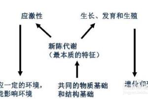 口诀法记忆生物知识.