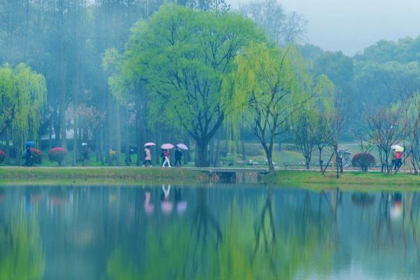 又是一年春好处绝胜烟柳满皇都是什么意思.