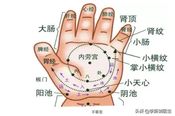 慢性呕吐实验室是怎么拍的.