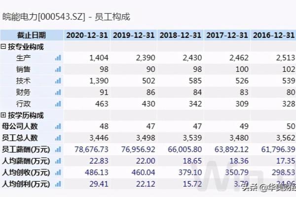 皖能电力是国企吗.